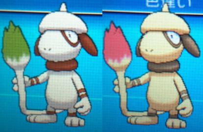 色違いに釘付け ドーブル Xy