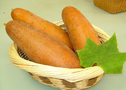 キュウリ 赤毛瓜 沖縄の黒いぼキュウリ 煮物 炒め物 漬物でおいしい トキタ種苗の野菜品種カタログ 栽培ガイド