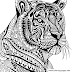 Tiger Coloring Pages For Adults - Tiger coloring pages for adults.