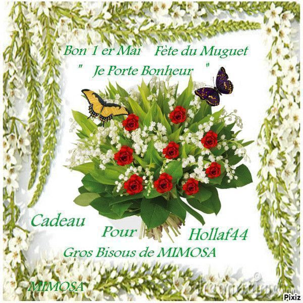 Joli brin de muguet chez Mimosa