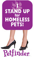 Pet Adoption