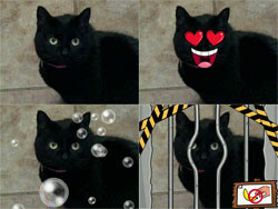 Kidizoom Spin and Smile Digital Camera