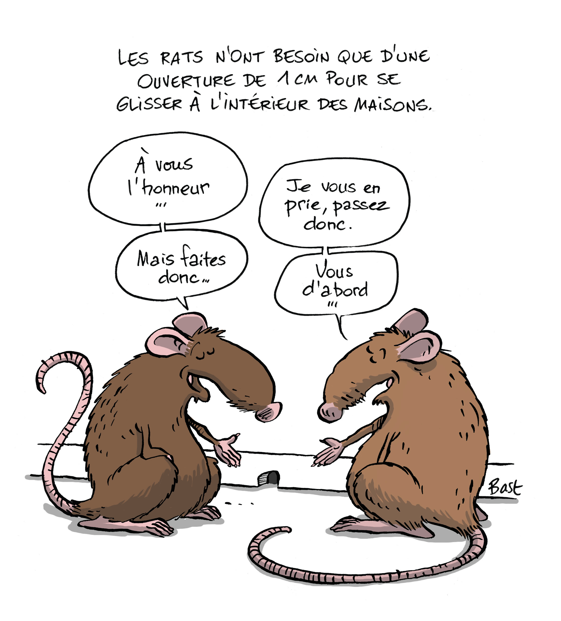 Lutter Contre Souris Et Rats Sans Se Ronger Les Sangs