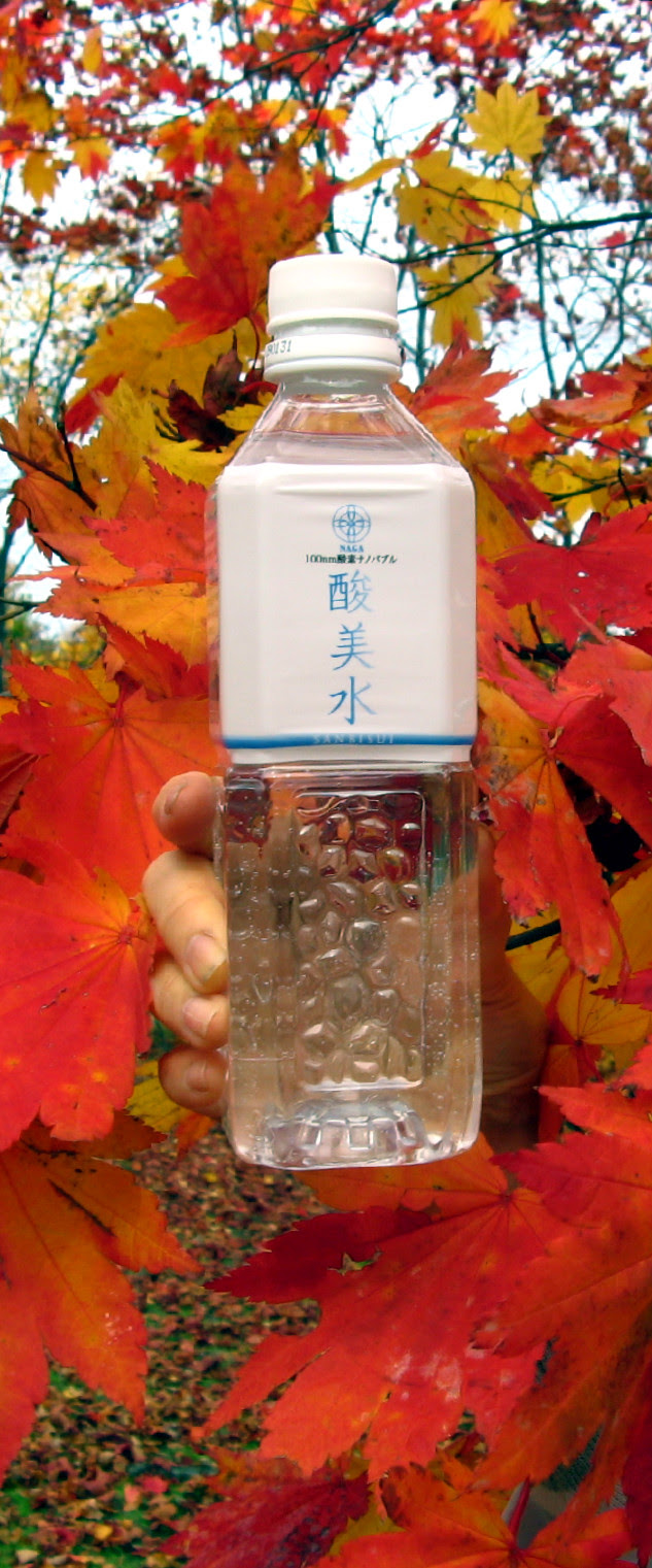 真駒内公園の紅葉