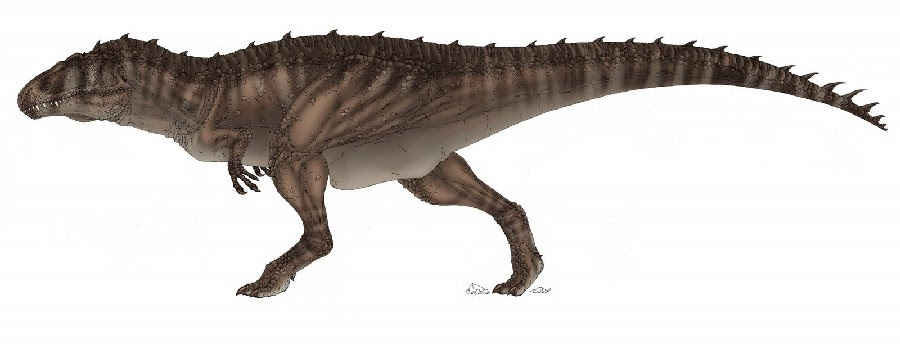 Acrocantossauro
