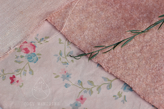 osyris alba dyeing
