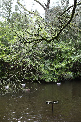 Gosford Forest Park