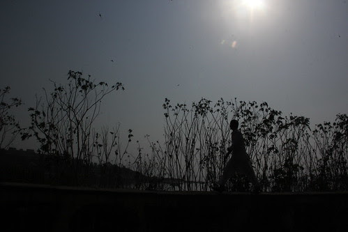bandra where god tired takes rest .. by firoze shakir photographerno1