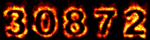 website hit counters