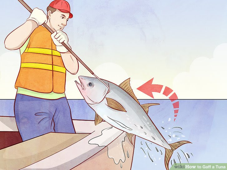 Gaff a Tuna Step 5.jpg