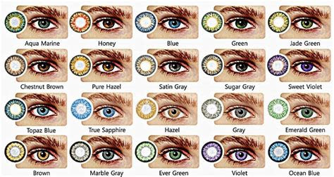  8 best eye color chart genetics images in 2020 eye color chart eye 3