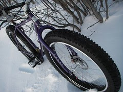 bike_pugs_front
