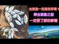 [コンプリート！] 魚 防波堤 種類 250483-魚 防波堤 種類