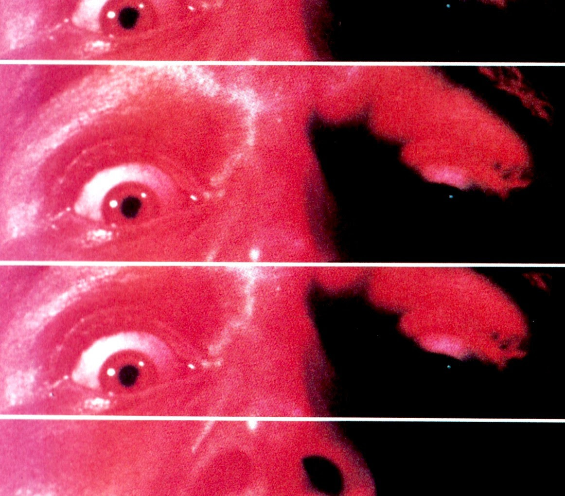 Eat & Billy, members of the Long Live Luciano Tortuga Cell – FAI/IRF jailed for less than 2 years (