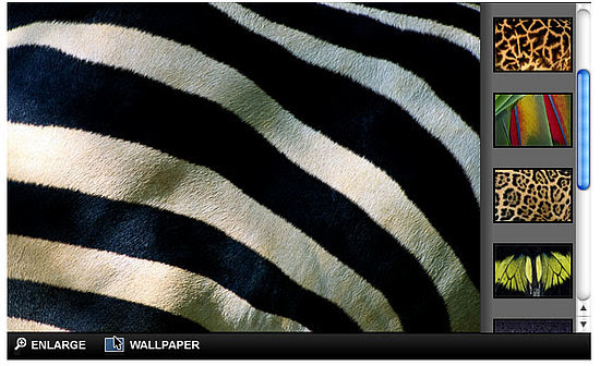 photography wallpaper. photography wallpapers to