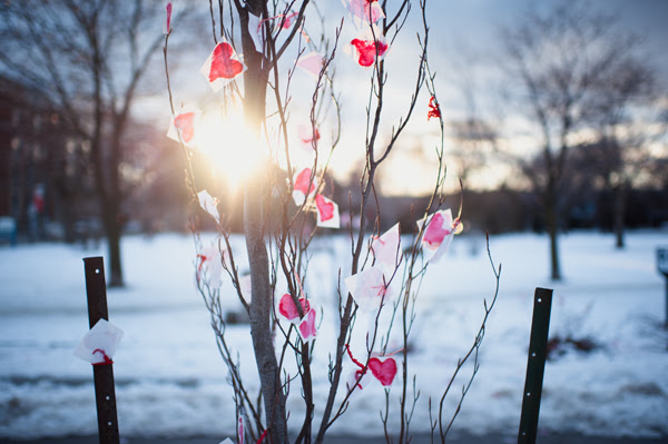 heart blossoms