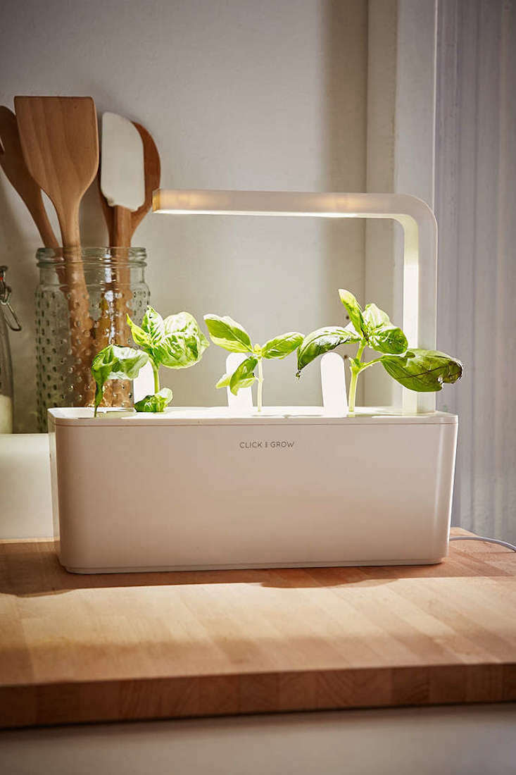 Click and Grow: A Miniature Herb Garden for a Kitchen ...