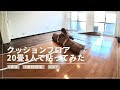 [10000印刷√] 畳 diy 賃貸 241964-畳 diy 賃貸