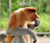Sommaire Sabah
