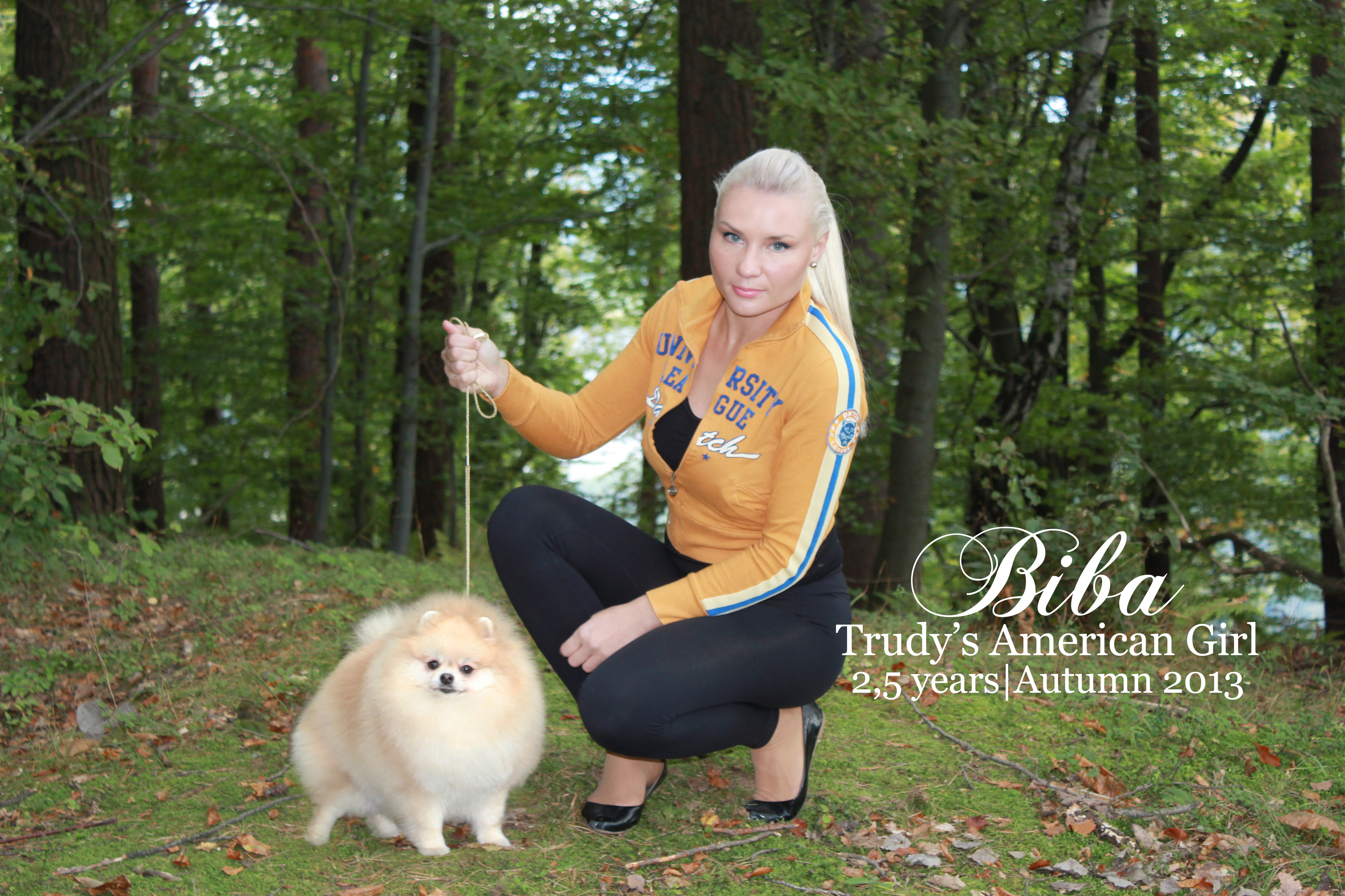 Thin Line Between Two Breeds Pomdeluxe Pomeranians