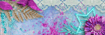  photo MSd1Ky1.gif