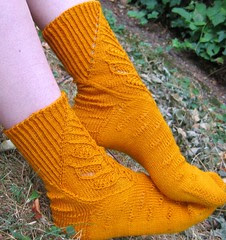 Life Cycle Socks