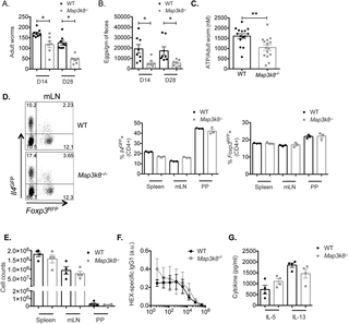 journal.ppat.1006536.g001