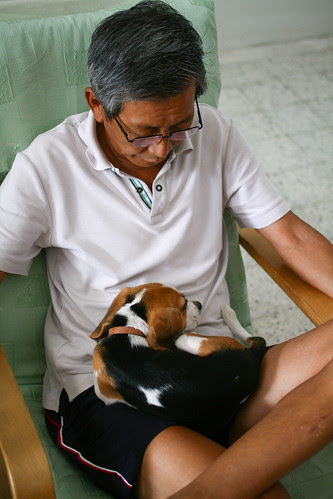 Taking a nap, in daddy's lap