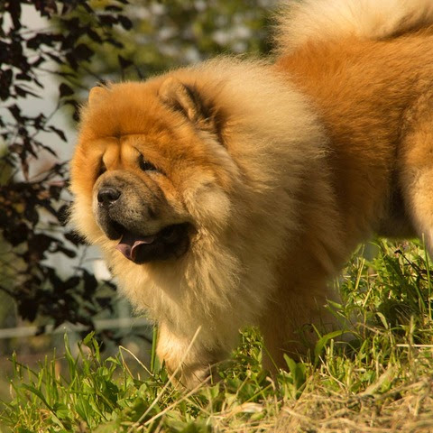 21691392_1651412918264963_1425183303_n