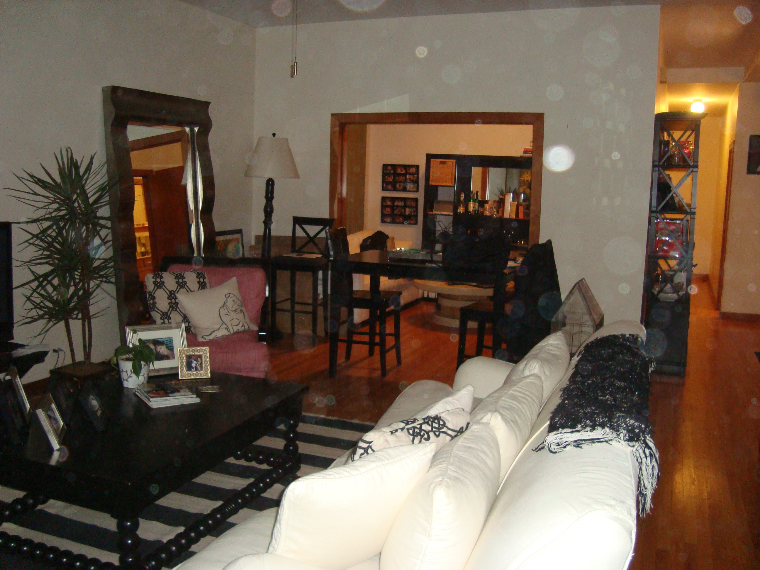 Check out our new digs Carlie Crash Check out our new digs Carlie Crash