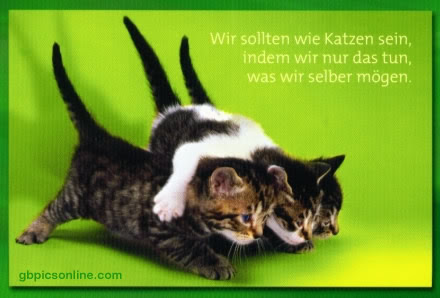 schöne sprüche baby ist da