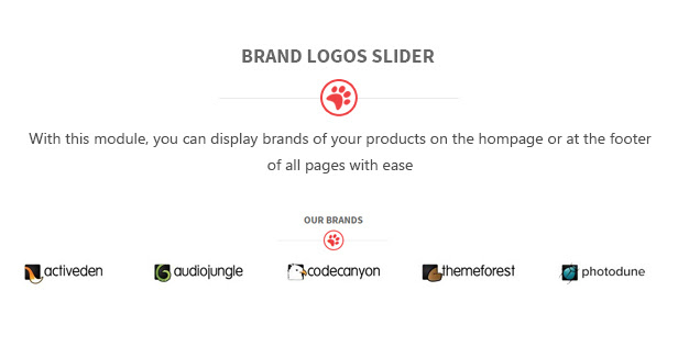 des_13_brand_slider