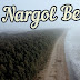 Nargol beach