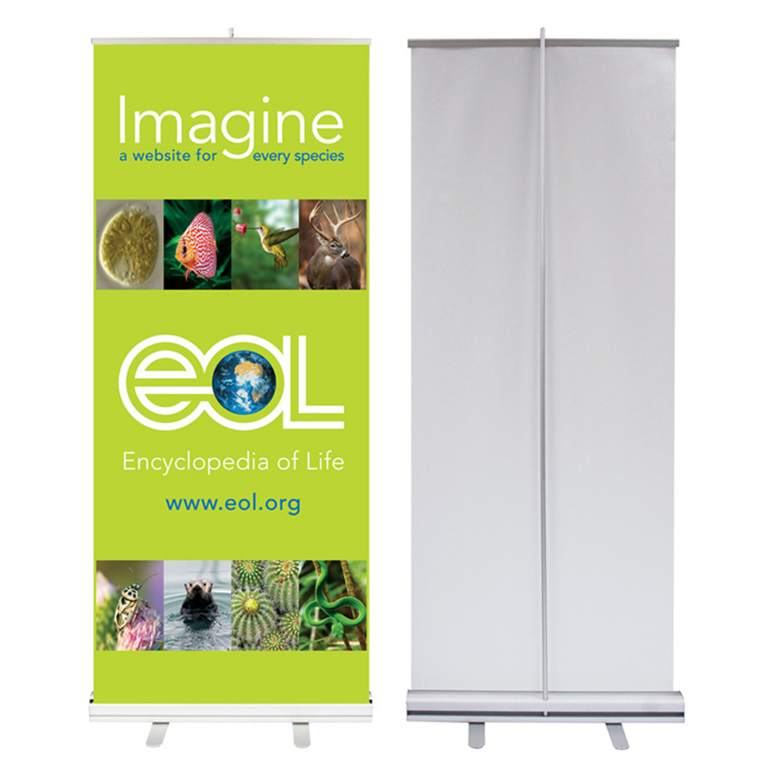FLYSTAR NETWORK LTD Rollup Banners FLYSTAR NETWORK LTD Rollup Banners