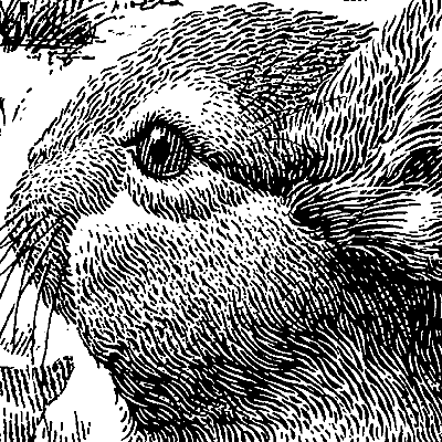 Image hosted by Photobucket.com