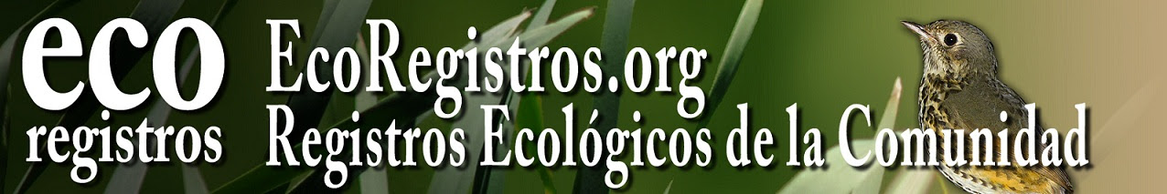 ECOREGISTROS
