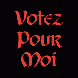 votez pour moi votez pour moi