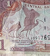 Het papier geld van Trinidad & Tobago heeft afbeeldingen van vogels.