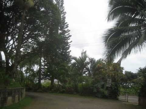 maui botanical gardens 746e5d63b0ae13f9dc30cb002dfbf3a0. | 480 x 360 · 44 kB · jpeg