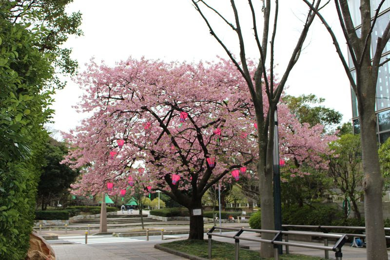 幕張メッセライブ旅には ホテルスプリングス幕張 がおすすめ 千葉県 トラベルjp 旅行ガイド