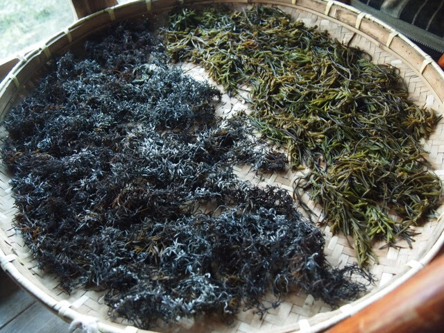 ひじきにはヒ素が含まれてる 野生ひじきを安全に食べる方法 ちはるの森