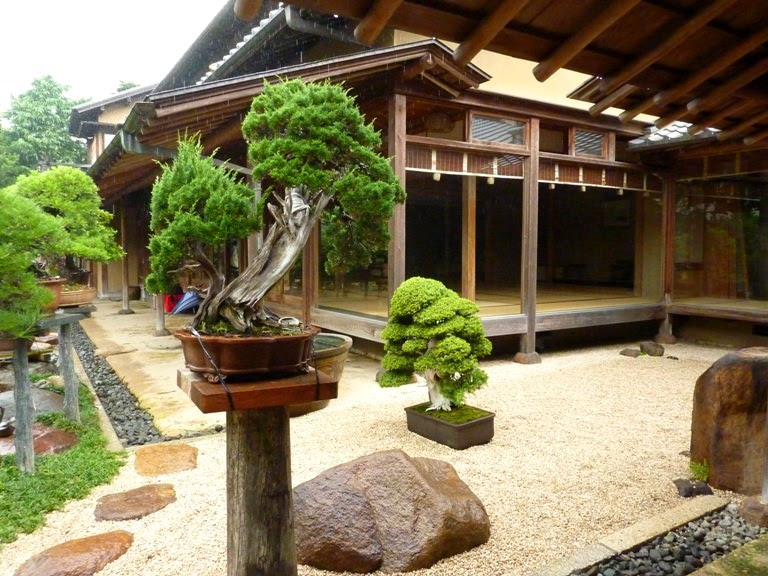 Try Out Traditional Plant Craft At Tokyo S Shunkaen Bonsai Museum Goin Japanesque