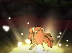 オドリドリの特性おどりこの効果とスタイル別のタイプ ポケモン ポケモン剣盾 ソードシールド 攻略 最新情報 Pokemon Times