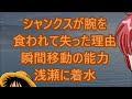 選択した画像 ルフィ シャンクス 腕が 342034