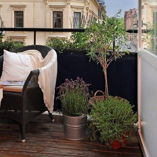 Quem mora em #apartamento pode optar pela #palmeira fênix que é bem pequenina e imponente. Este tipo de planta de folhagem não requer tantos cuidados e sobrevive bem com pouca luminosidade. São, portanto, ótimas plantas para #decorar a #sala, por exemplo.