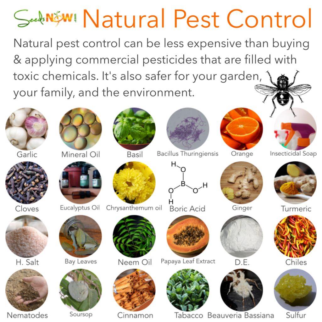 finished pest control