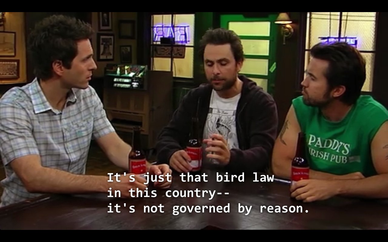 Image result for charlie kelly bird law