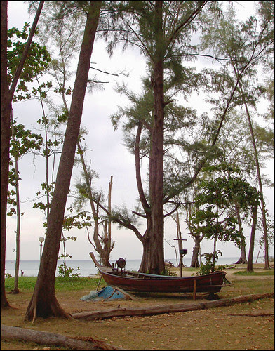  Need some other trip inwards that direction presently Bangkok Thailand Place should to visiting; Nai Yang Beach