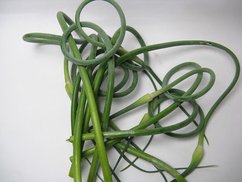 garlic scapes