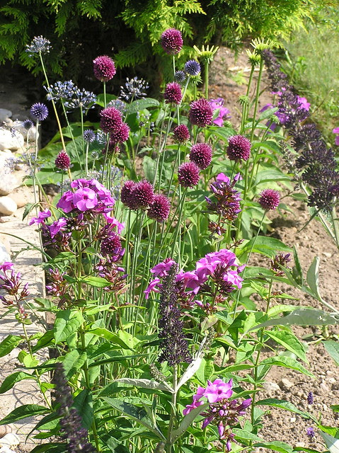 Bee&Butterfly bed